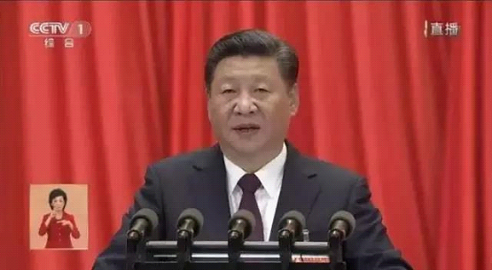 腾龙国际平台(中国区) - 官方网站
