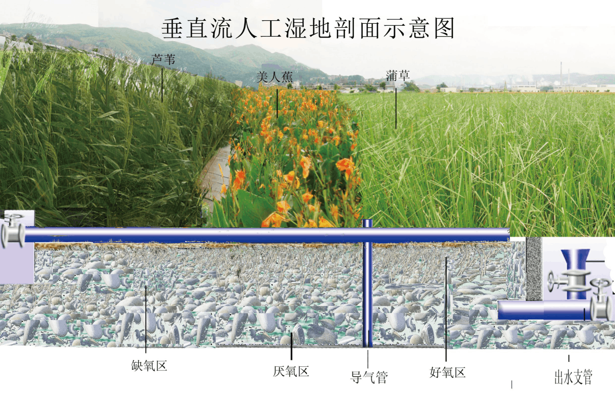 腾龙国际平台(中国区) - 官方网站